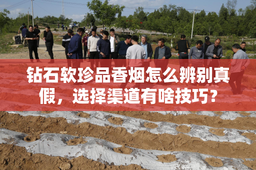钻石软珍品香烟怎么辨别真假，选择渠道有啥技巧？